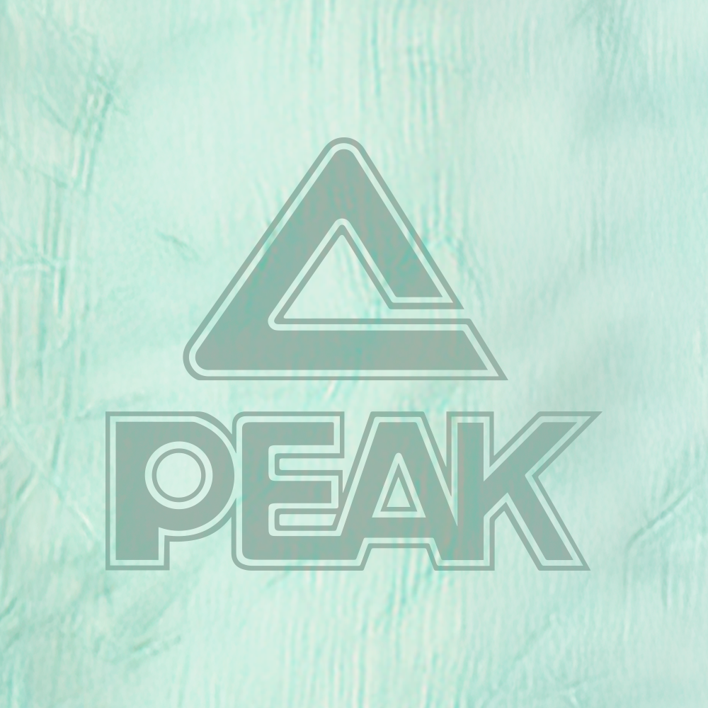 Chaleco Térmico PEAK Mujer FW4244002